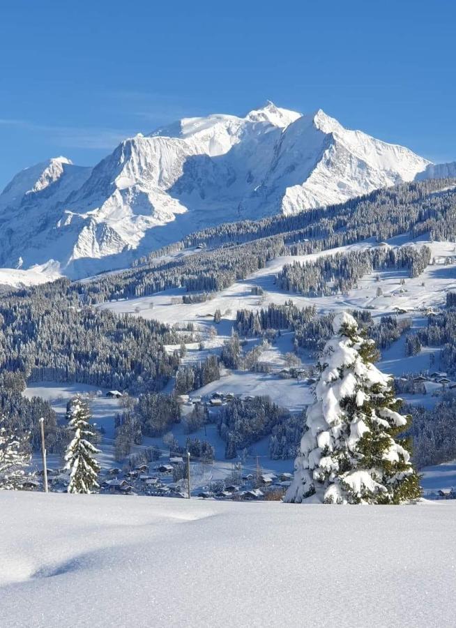 Appartement Le Sapin B19 Megeve - Demi Quartier Extérieur photo